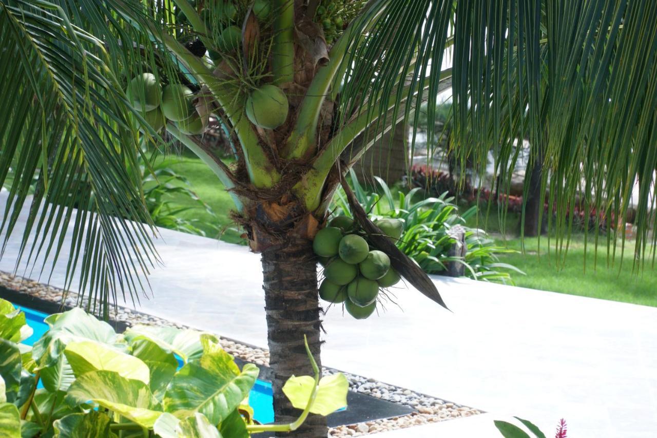 Ravenala Muine Resort Phan Thiết Zewnętrze zdjęcie